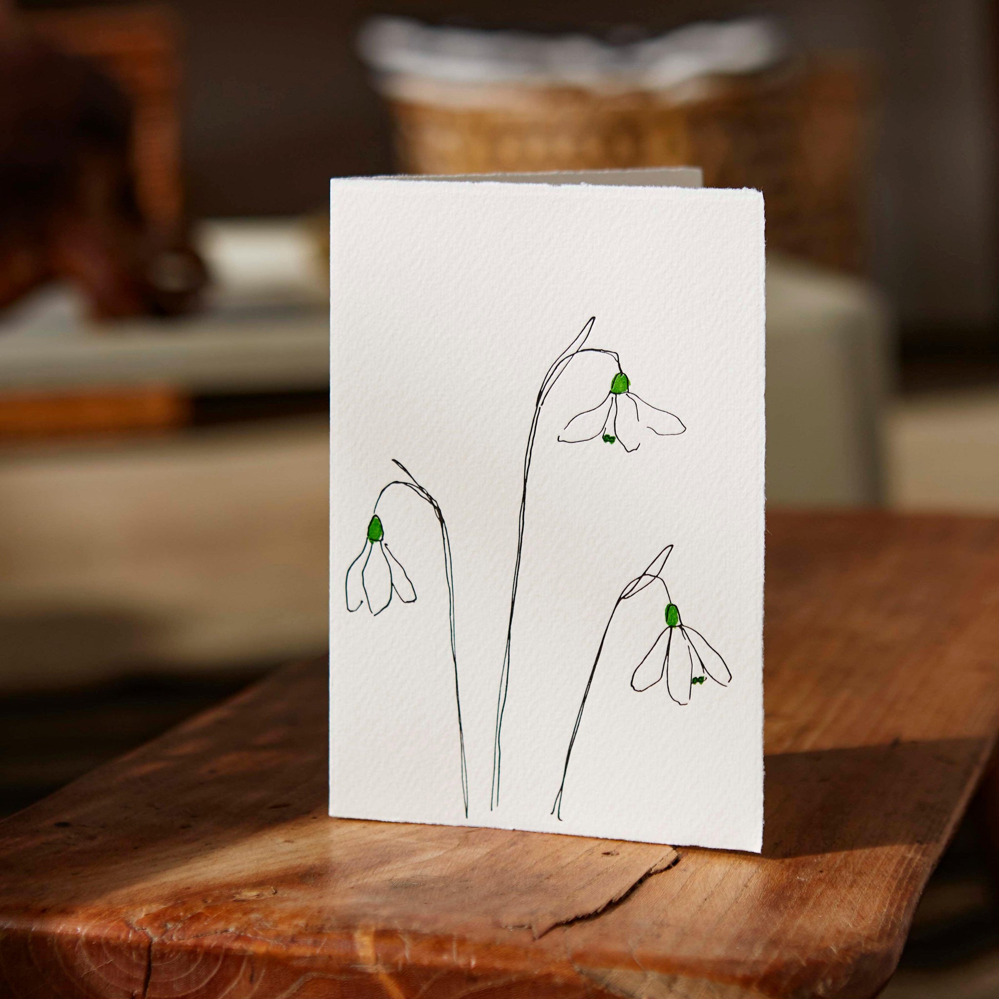 Great Dixter Collection