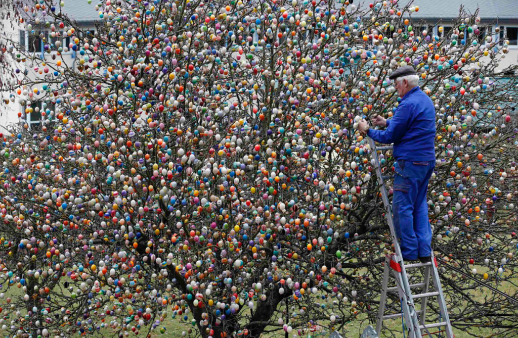 German Couple Christa & Volker Kraft decorate the apple tree in their garden with 10,000 hand-painted Easter eggs decorations 