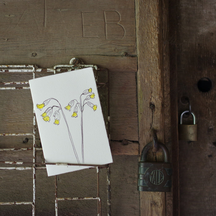 Cowslips