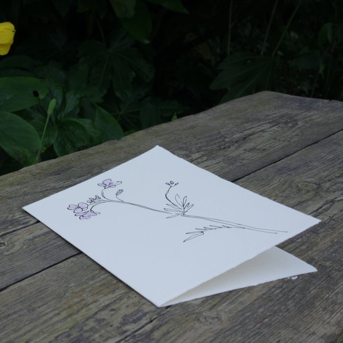 Cuckoo Flower