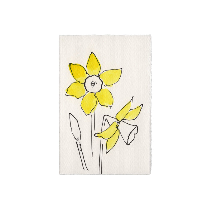 Daffodil