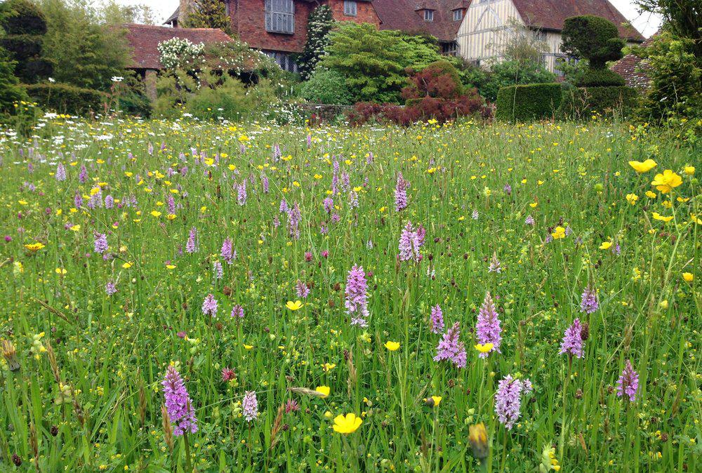 Great Dixter Notecards Box Set