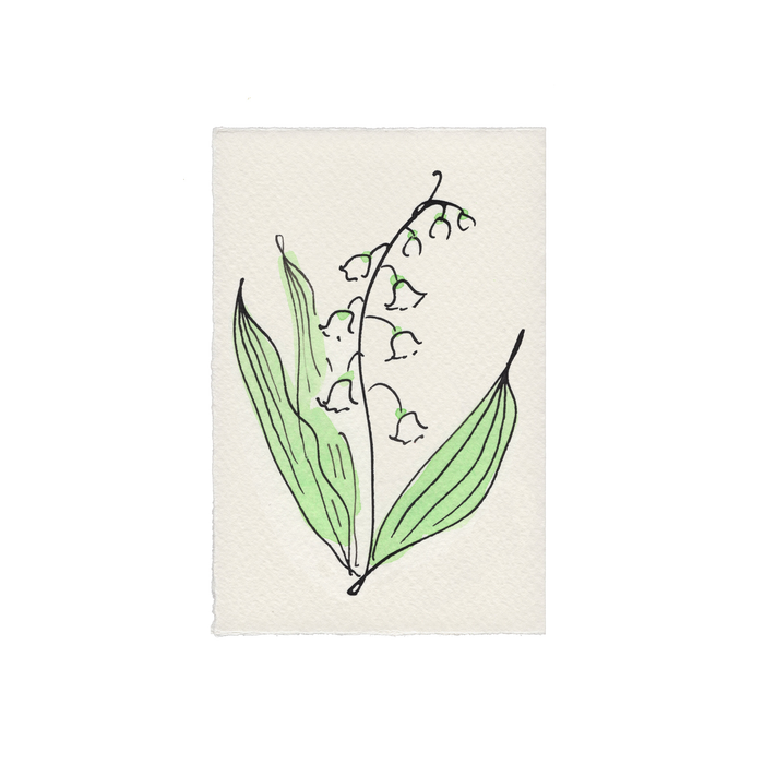 Lily of the Valley