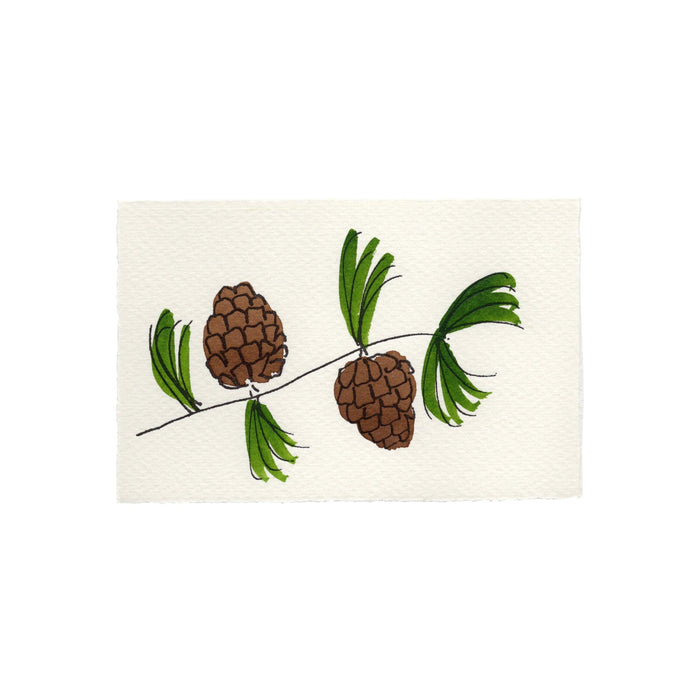 Pine Cones