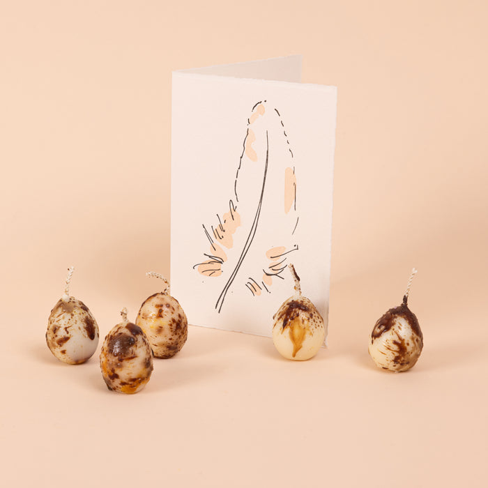 Quail Egg Candles