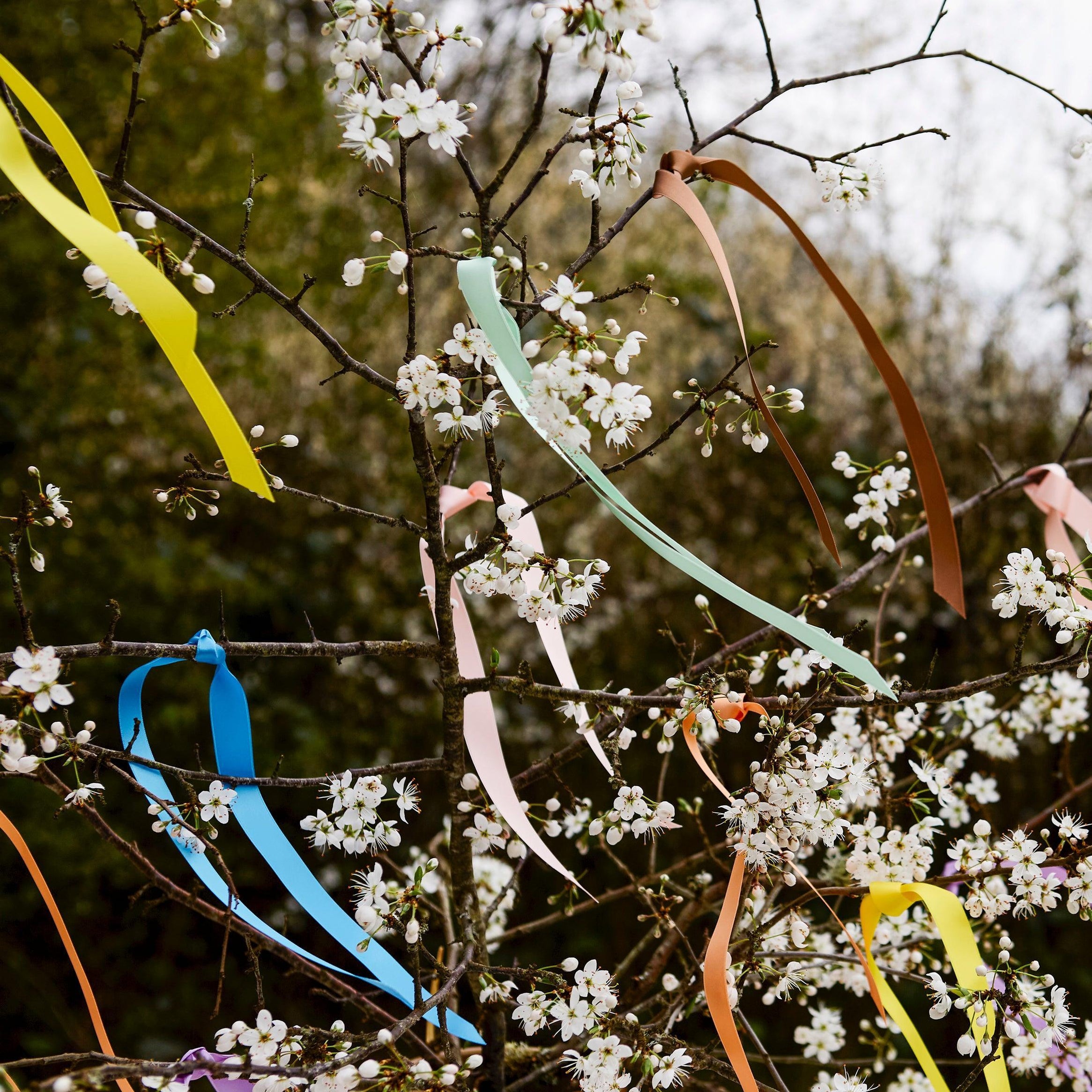 Ribbons (Soft)– Scribble and Daub