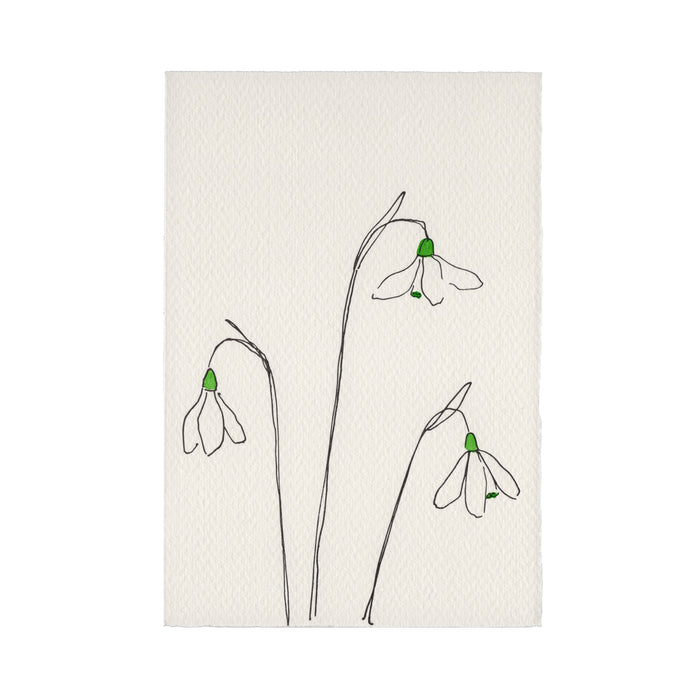 Snowdrops