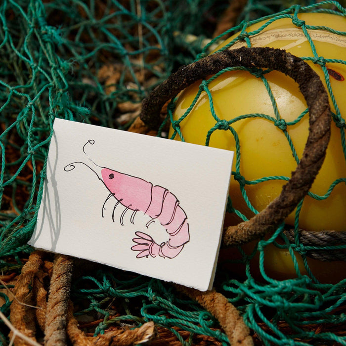 Shrimp