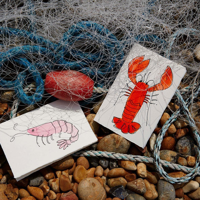 Shrimp