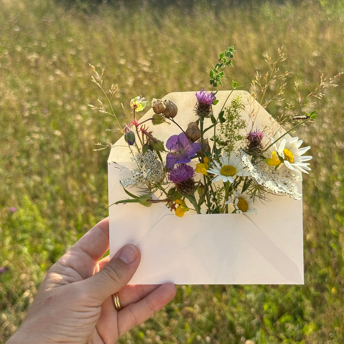 Wildflower Meadow