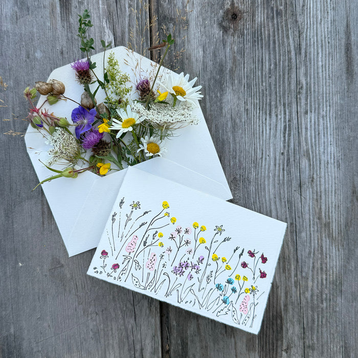 Wildflower Meadow